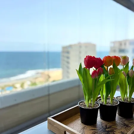 Luxury Posidonia Punta Prima * 또레비에하